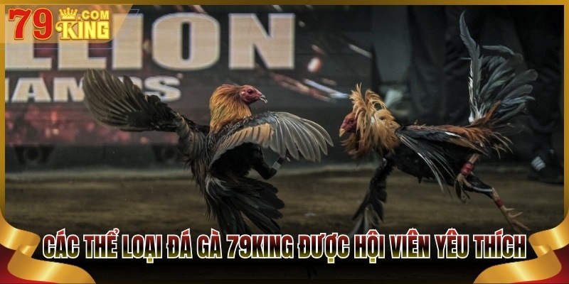 Các thể loại đá gà 79King được hội viên yêu thích