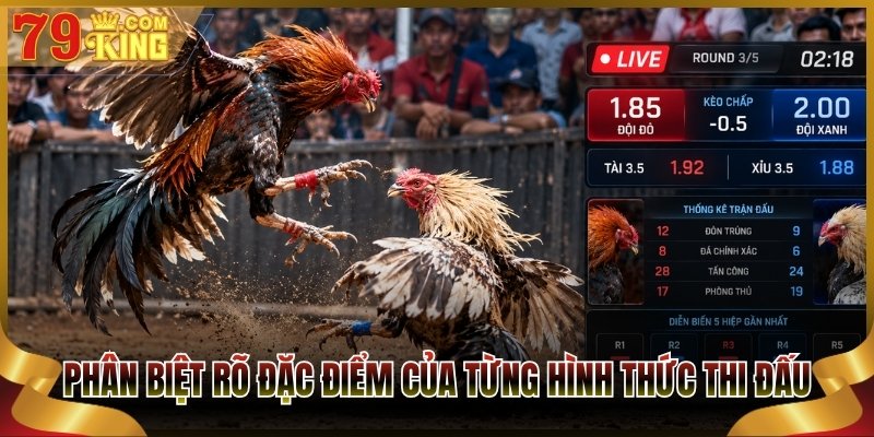 Phân biệt rõ đặc điểm của từng hình thức thi đấu phổ biến 