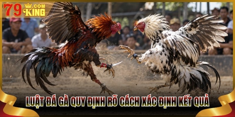 Luật đá gà quy định rõ cách xác định kết quả trận đấu